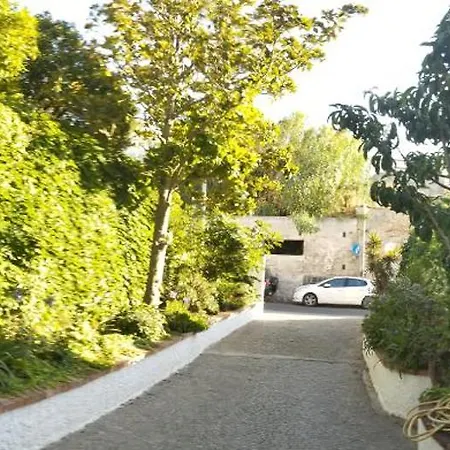 Thomas Bb Conduzione Familiare B&B Forio di Ischia